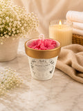 Blush Line